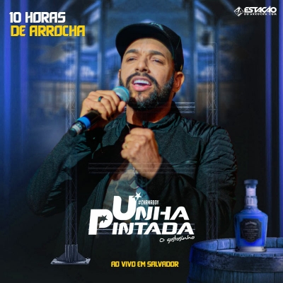 UNHA PINTADA - 10 Horas de Arrocha