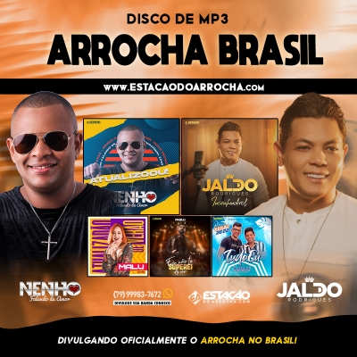 DISCO DE MP3 - Arrocha Brasil 2k22