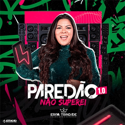 Erika Trindade - Nao Superei