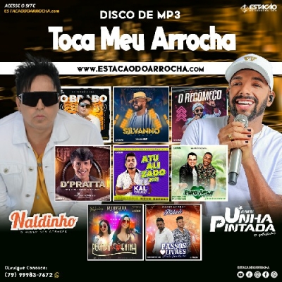 DISCO DE MP3 - Toca Meu Arrocha 2021